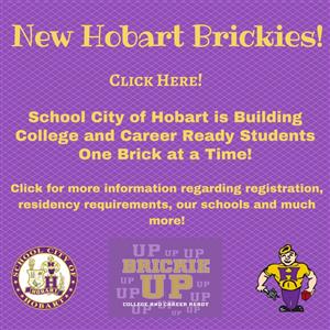 New Hobart Brickies 